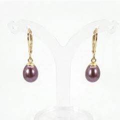 A pair of silver gold plated polished drop freshwater pearl mauve colour. With Morelli Clasp.