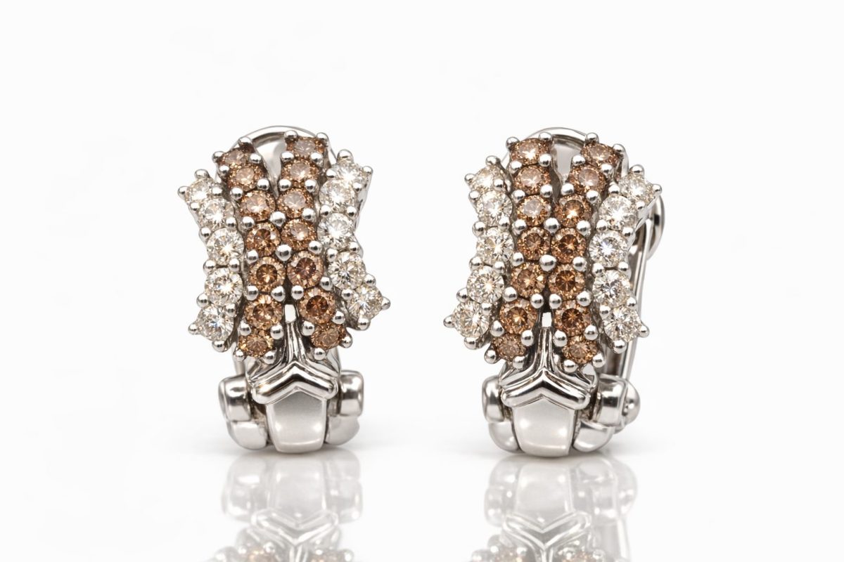 Faan - White Gold Brown & White Diamond- Earrings